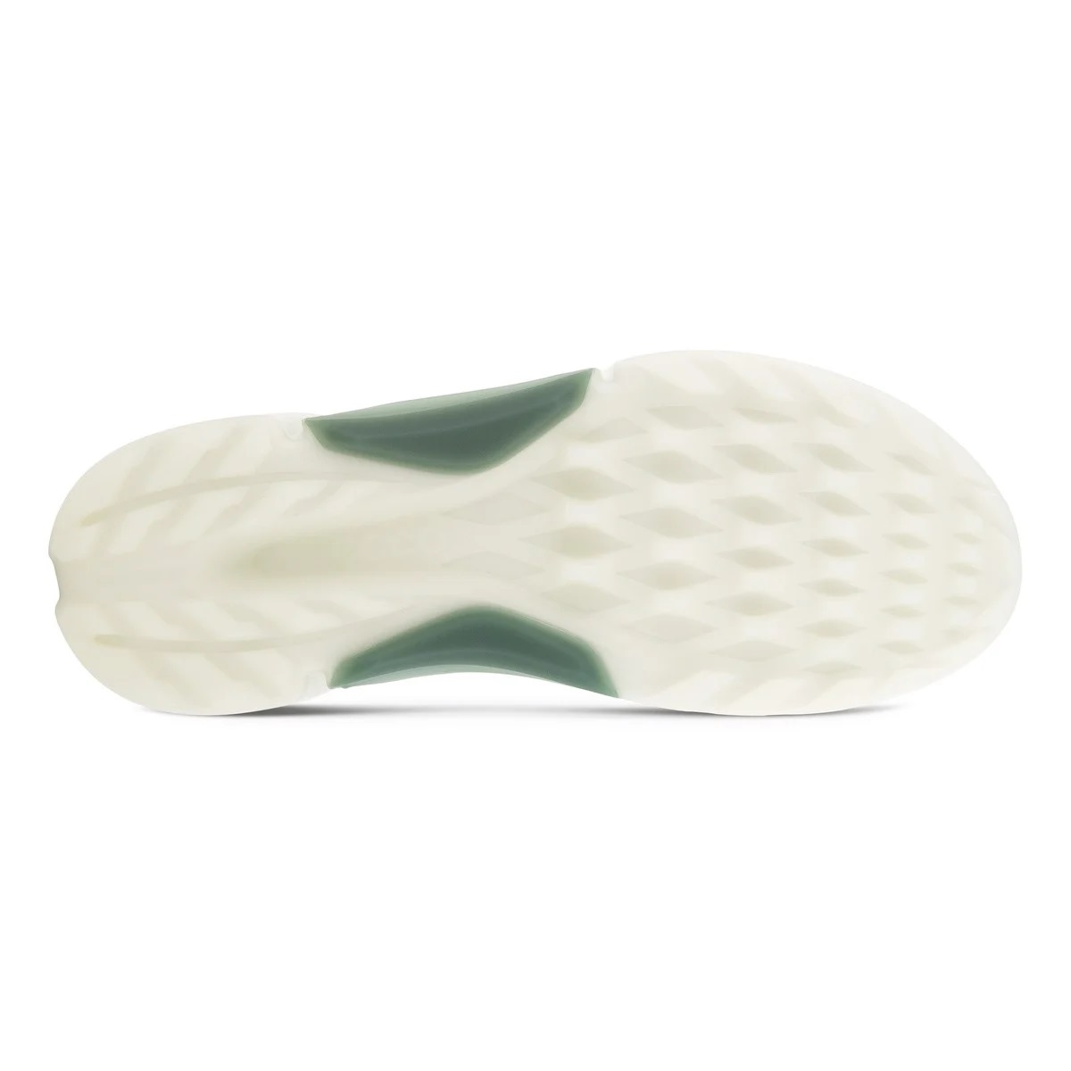 ECCO GOLF BIOM® H4