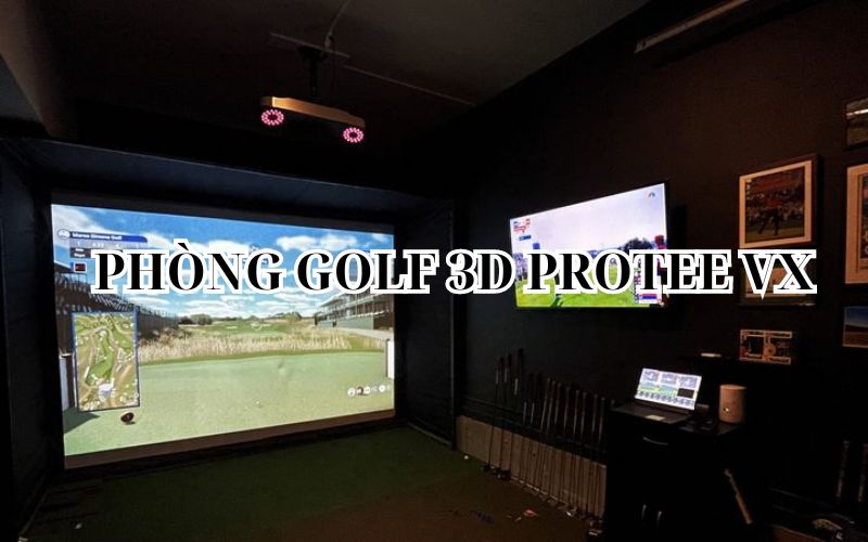 PHÒNG GOLF 3D PROTEE VX