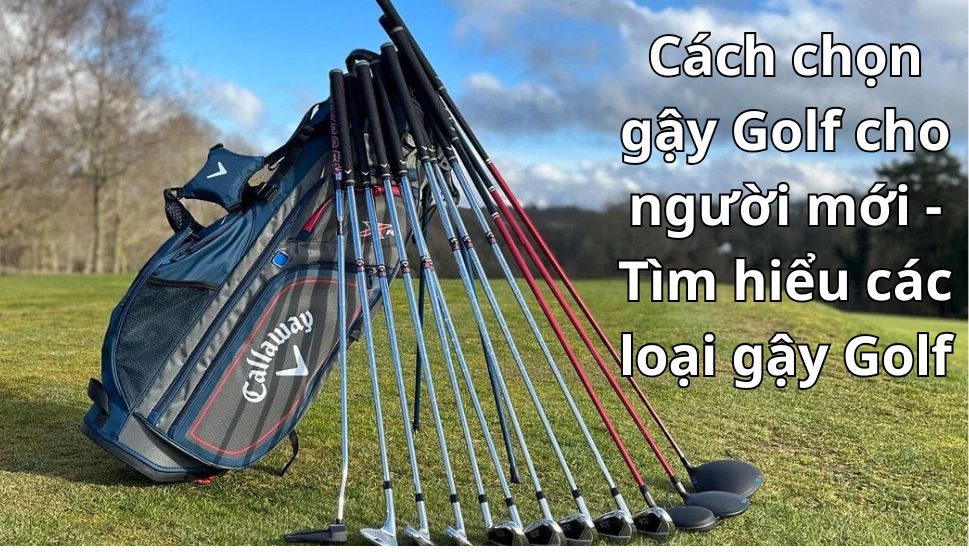 Cách chọn gậy Golf cho người mới - Tìm hiểu các loại gậy Golf